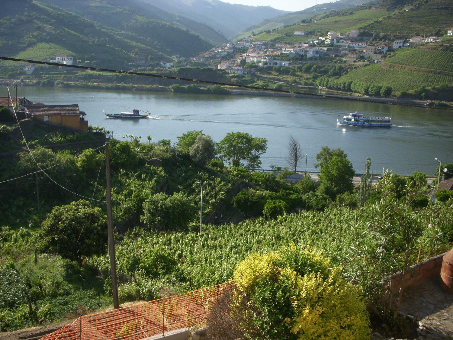 Quinta Da Azenha Hotel Folgosa  Buitenkant foto