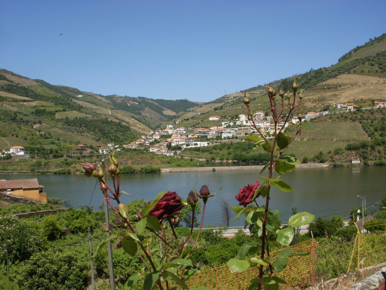 Quinta Da Azenha Hotel Folgosa  Buitenkant foto