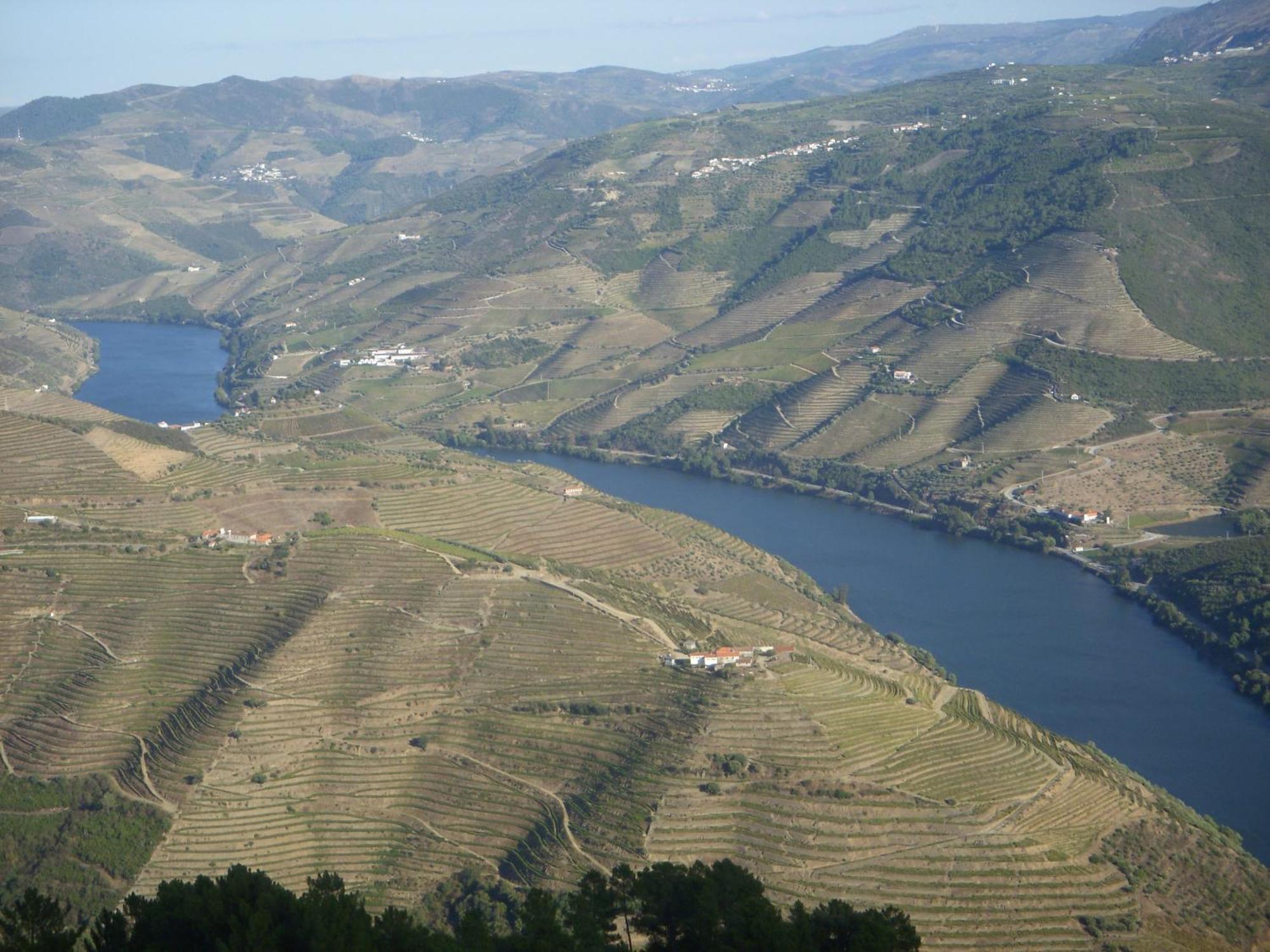 Quinta Da Azenha Hotel Folgosa  Buitenkant foto
